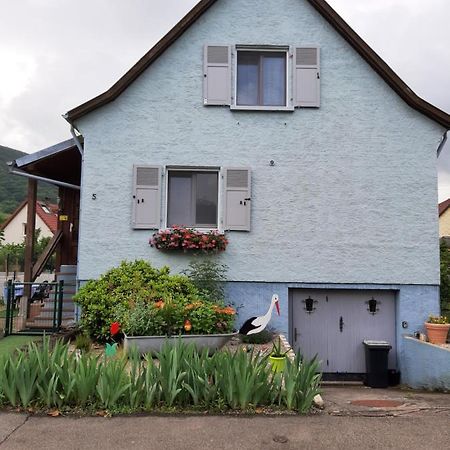 Gite Les Chiwawas D'Alsace Kaysersberg-Vignoble Eksteriør billede