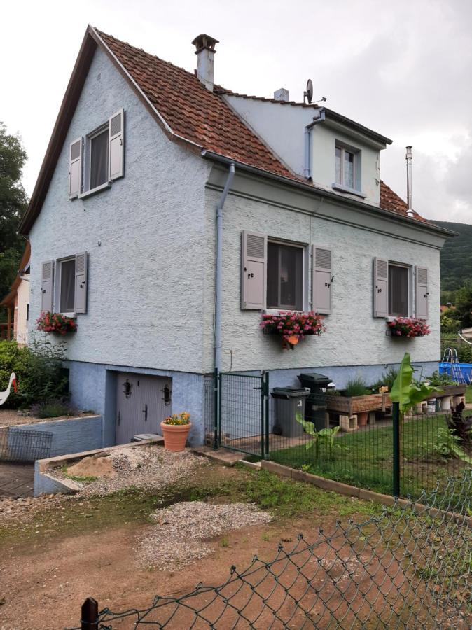 Gite Les Chiwawas D'Alsace Kaysersberg-Vignoble Eksteriør billede