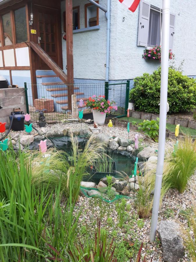Gite Les Chiwawas D'Alsace Kaysersberg-Vignoble Eksteriør billede
