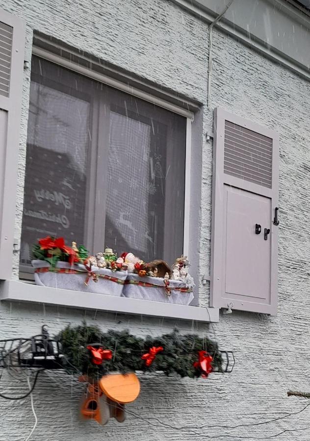 Gite Les Chiwawas D'Alsace Kaysersberg-Vignoble Eksteriør billede